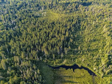 Tbd Hoist Lake Road Finland MN 55603