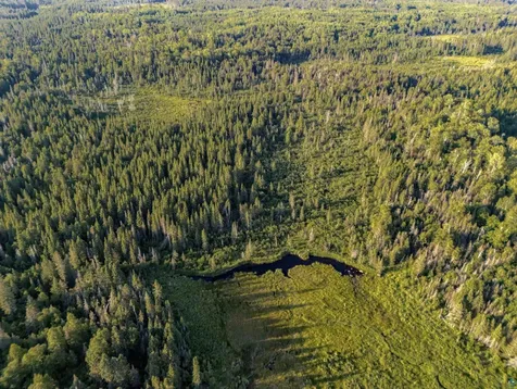 Tbd Hoist Lake Road Finland MN 55603