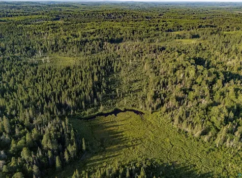 Tbd Hoist Lake Road Finland MN 55603