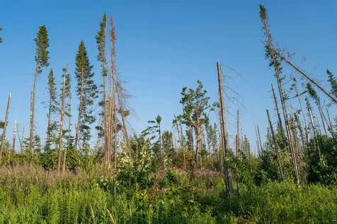 92349 Peterson Hill Road Bayfield WI 54814