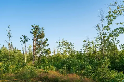 92349 Peterson Hill Road Bayfield WI 54814