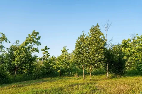92349 Peterson Hill Road Bayfield WI 54814