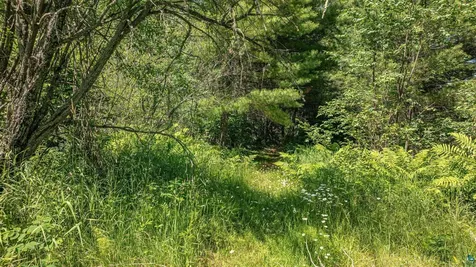 2538 Martilla Road Ely MN 55731