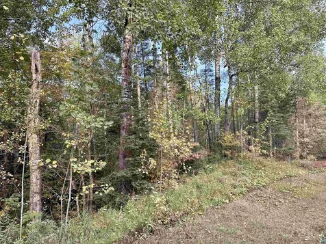 Tbd Old Vermilion Trail Duluth MN 55803