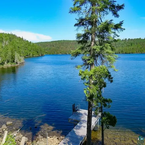 10028 Gunflint Trail Grand Marais MN 55604