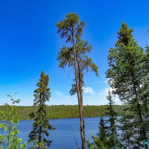 10028 Gunflint Trail Grand Marais MN 55604