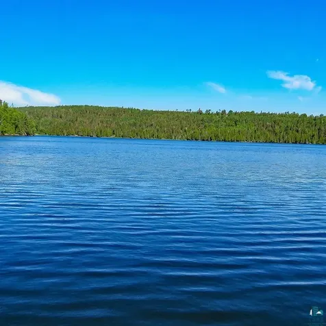 10028 Gunflint Trail Grand Marais MN 55604