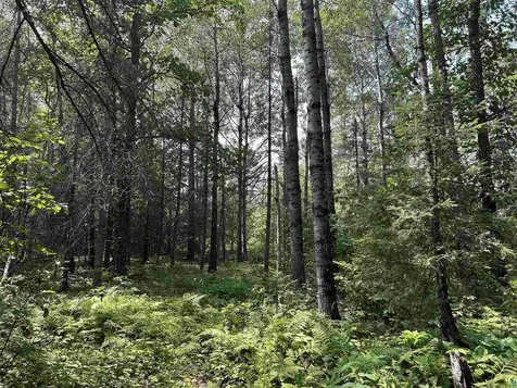 1888 Korkki Road Duluth MN 55804