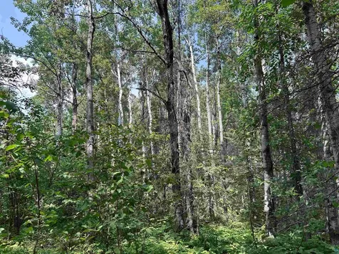 1888 Korkki Road Duluth MN 55804