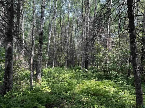 1888 Korkki Road Duluth MN 55804