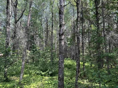 1888 Korkki Road Duluth MN 55804