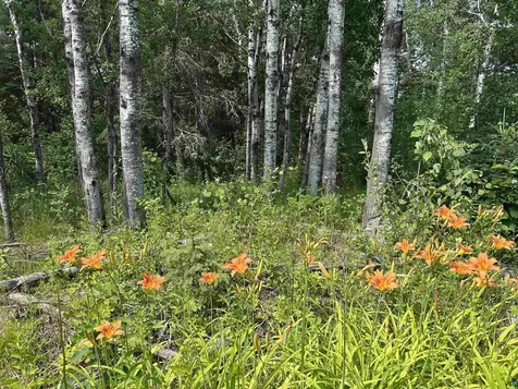 1888 Korkki Road Duluth MN 55804