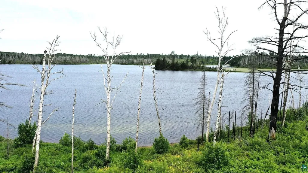 2377 N Mcdougal Lake Road Isabella MN 55607