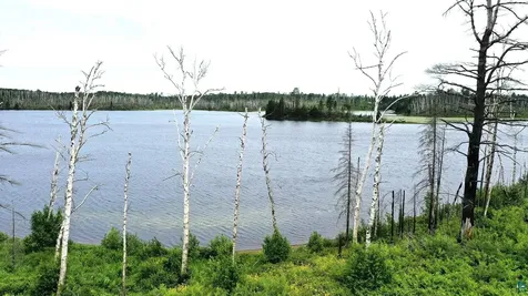 2377 N Mcdougal Lake Road Isabella MN 55607