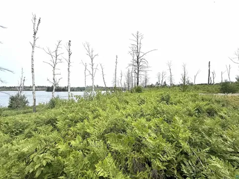2377 N Mcdougal Lake Road Isabella MN 55607
