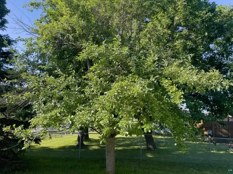 25 Gibson Road Silver Bay MN 55614