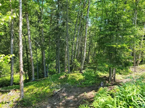 3644 Hwy 61 E Grand Marais MN 55604