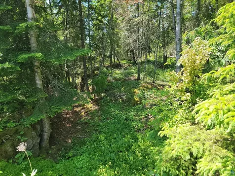 3644 Hwy 61 E Grand Marais MN 55604