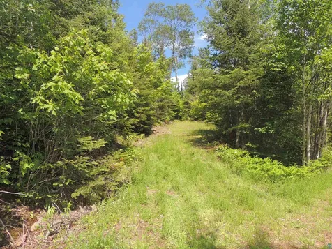15XA Greenwood Lake Road Grand Marais MN 55604