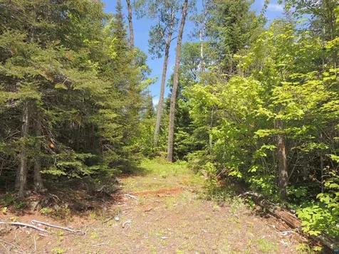 15XA Greenwood Lake Road Grand Marais MN 55604