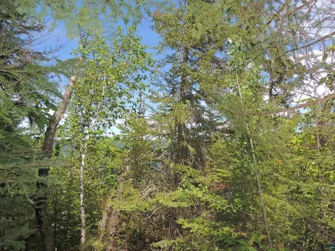 15XA Greenwood Lake Road Grand Marais MN 55604