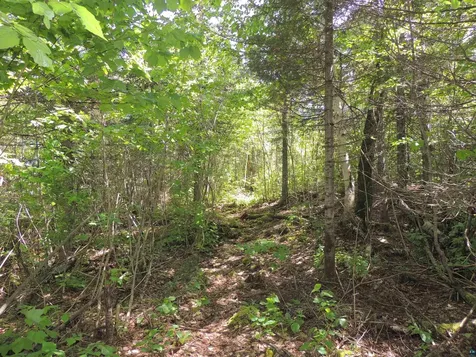 15XA Greenwood Lake Road Grand Marais MN 55604