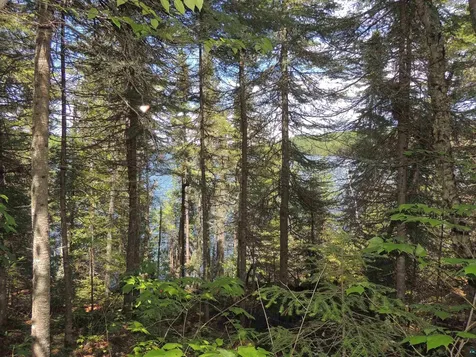 15XA Greenwood Lake Road Grand Marais MN 55604