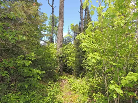 15XA Greenwood Lake Road Grand Marais MN 55604