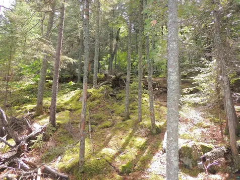 15XA Greenwood Lake Road Grand Marais MN 55604