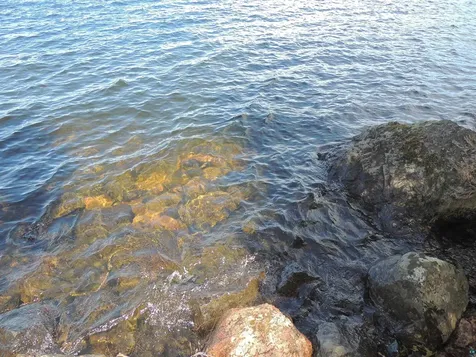 15XA Greenwood Lake Road Grand Marais MN 55604