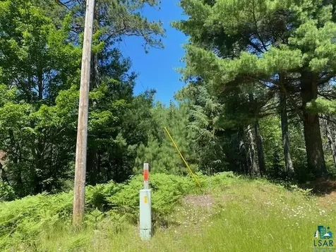 2448 E Cabin Circle Road Makinen MN 55763-0000