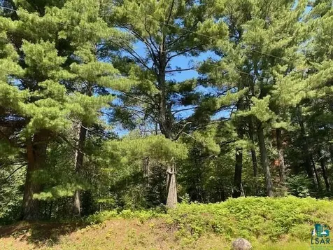 2448 E Cabin Circle Road Makinen MN 55763-0000