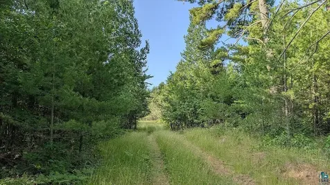 7952 Highway 24 Orr MN 55771