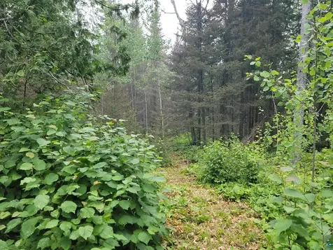 1363 Pike Lake Road Grand Marais MN 55604