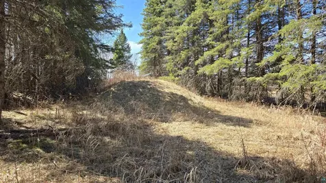 3293 Greaney Road Orr MN 55771