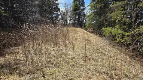 3293 Greaney Road Orr MN 55771