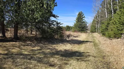 3293 Greaney Road Orr MN 55771