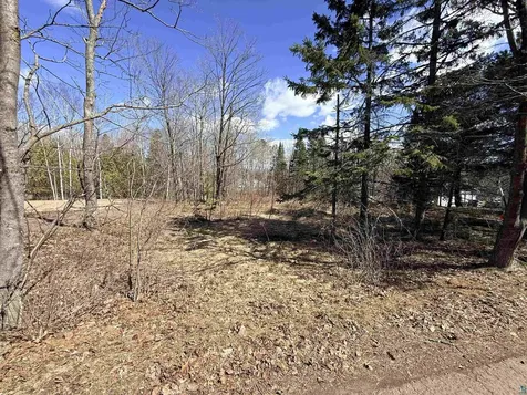419 W Quince Street Duluth MN 55811-000