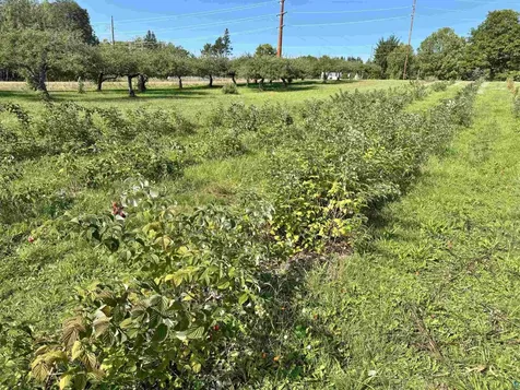 34045 S County Hwy J Bayfield WI 54814