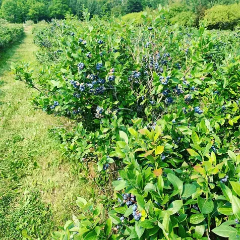 34045 S County Hwy J Bayfield WI 54814