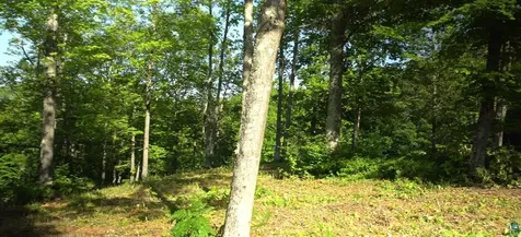 83XXX Ashwabay Heights Road Bayfield WI 54814
