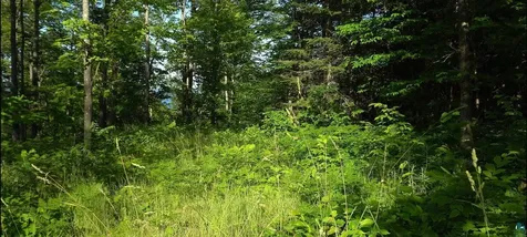 83XXX Ashwabay Heights Road Bayfield WI 54814