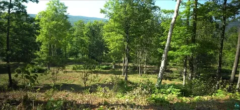 83XXX Ashwabay Heights Road Bayfield WI 54814