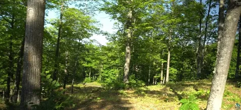 83XXX Ashwabay Heights Road Bayfield WI 54814