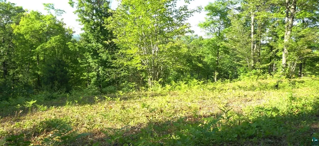 83XXX Ashwabay Heights Road Bayfield WI 54814