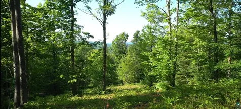 83XXX Ashwabay Heights Road Bayfield WI 54814