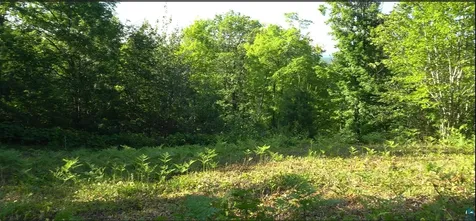 83XXX Ashwabay Heights Road Bayfield WI 54814