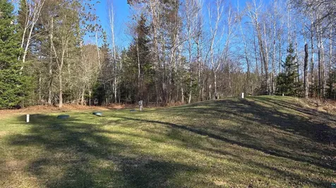 7485 Nelson Road Crane Lake MN 55725