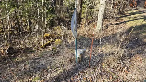 7485 Nelson Road Crane Lake MN 55725