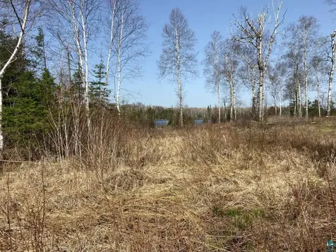 2102-3 N Bear Lake Road Brimson MN 55602